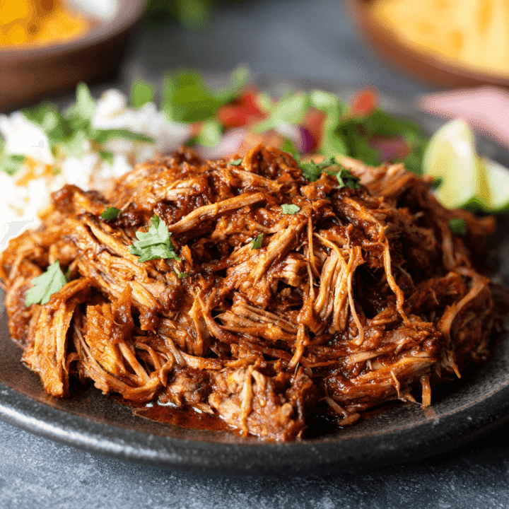 Crockpot Pulled Pork Recipe