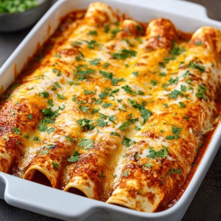 Chicken Enchiladas Recipe